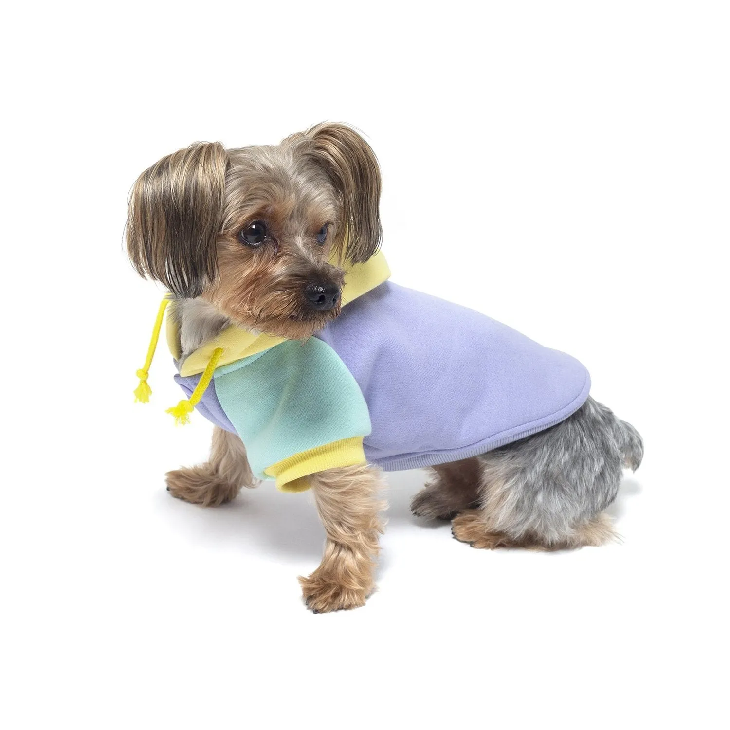 Color Block Dog Hoodie