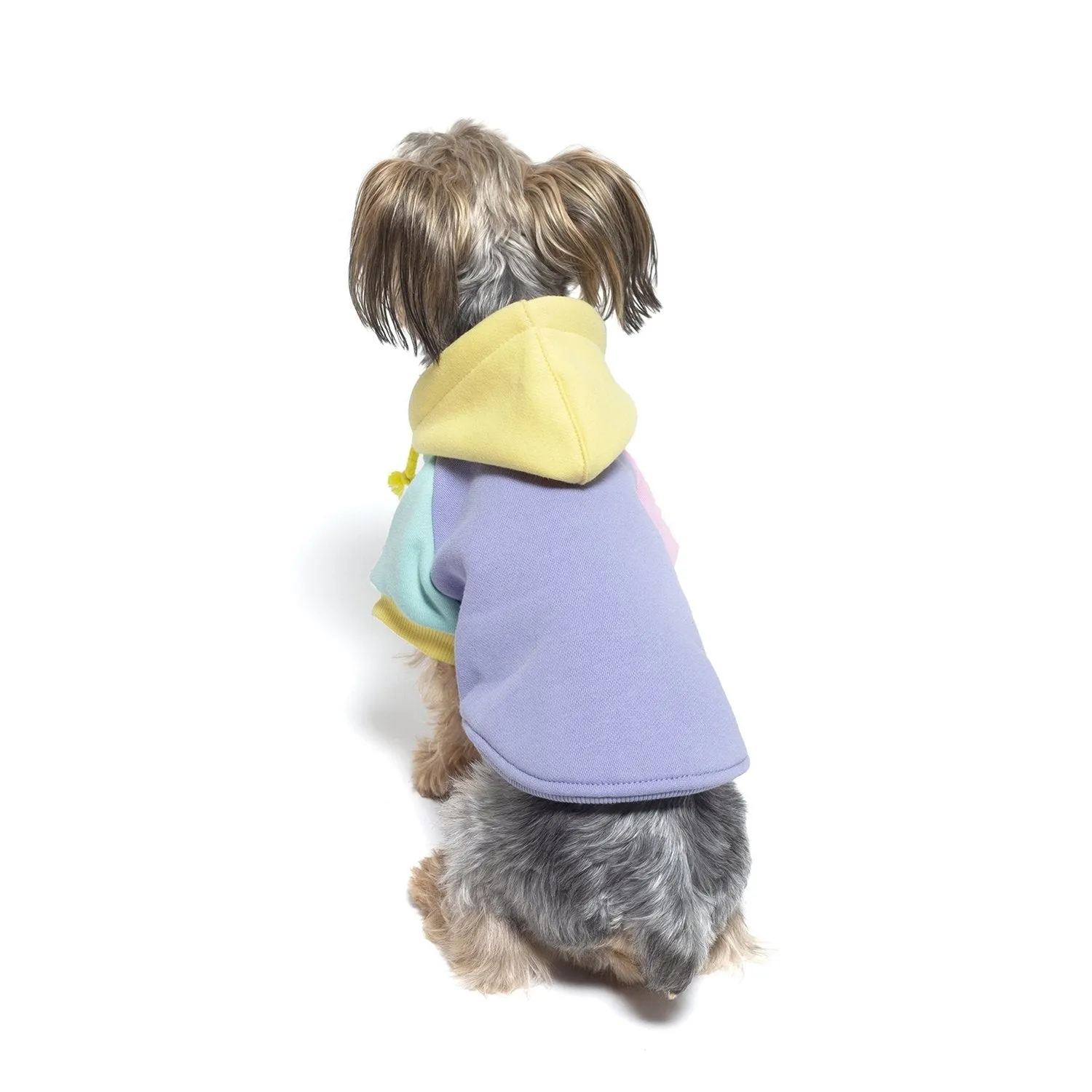 Color Block Dog Hoodie